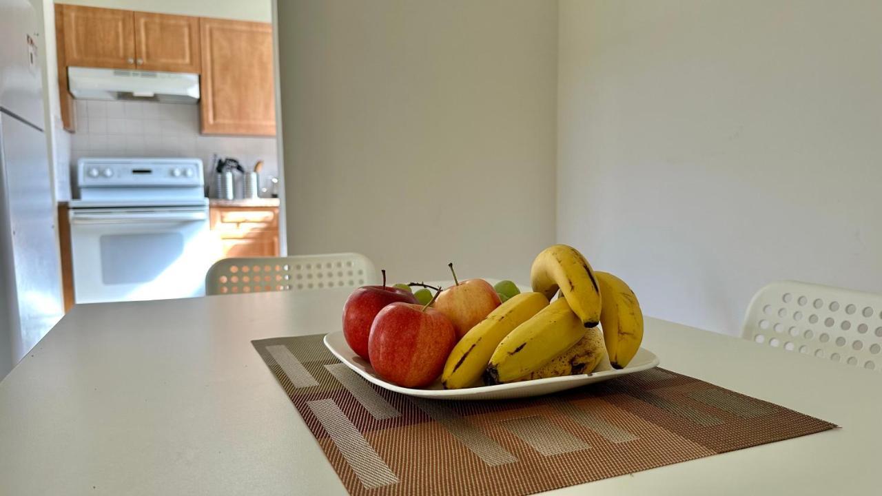 טאמפה Cozy Rooms Near Busch Gardens מראה חיצוני תמונה
